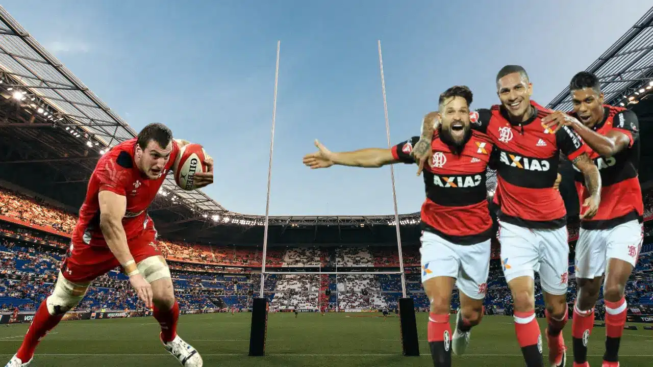 Daily Jotting, News, Blog, magazine, Rugby World Cup